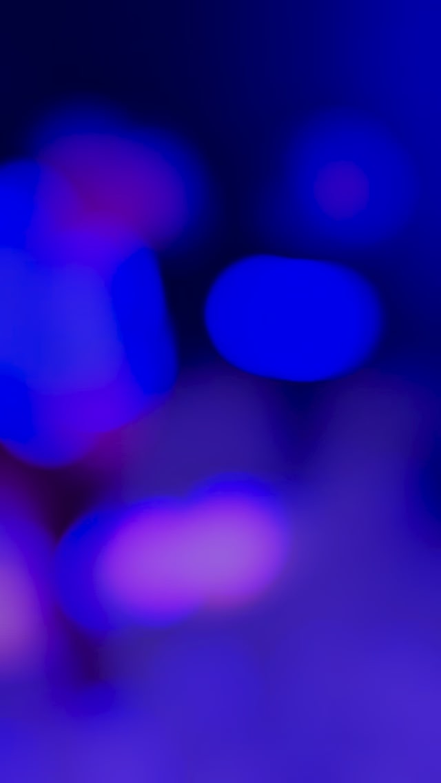 The Foundation House